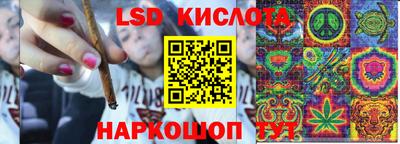 ГАЛЛЮЦИНОГЕННЫЕ ГРИБЫ Кингисепп