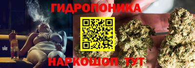 ГАЛЛЮЦИНОГЕННЫЕ ГРИБЫ Кингисепп