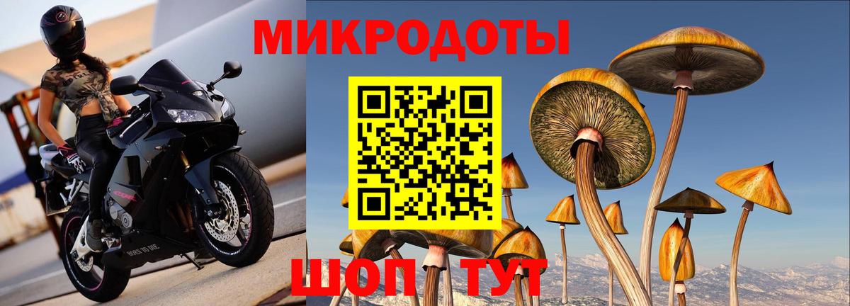 Псилоцибиновые грибы прущие грибы Холмск